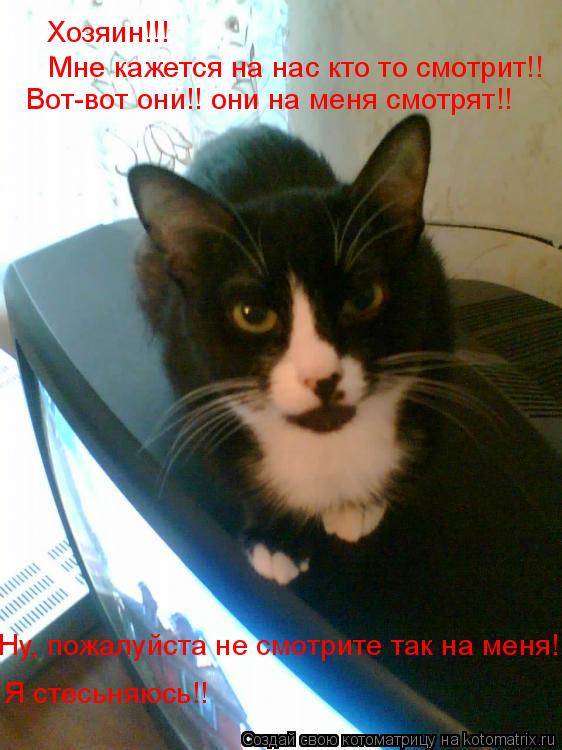 Хозяин!!! Мне кажется на нас кто то смотрит!! Вот-вот они!! они на меня смотрят!! Ну, пожалуйста не ... Котоматрица: Хозяин!!! Мне кажется на нас кто то смотрит!! Вот-вот они!! они на меня смотрят!! Ну, пожалуйста не смотрите так на меня! Я стесьняюсь!!