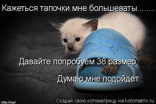 Кажеться тапочки мне большеваты......... Давайте попробуем 38 размер Думаю мне подойдёт..... Котоматрица: Кажеться тапочки мне большеваты......... Давайте попробуем 38 размер Думаю мне подойдёт..