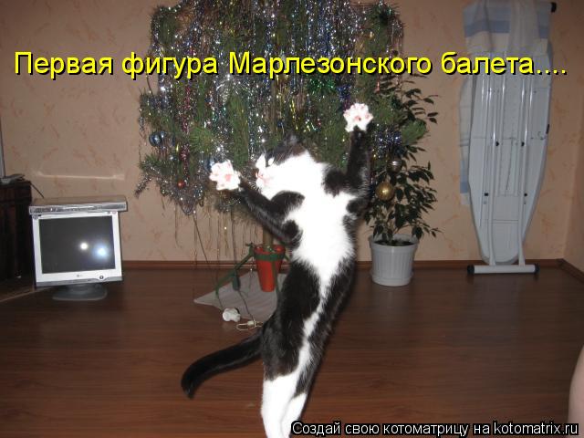 Первая фигура Марлезонского балета....... Котоматрица: Первая фигура Марлезонского балета....