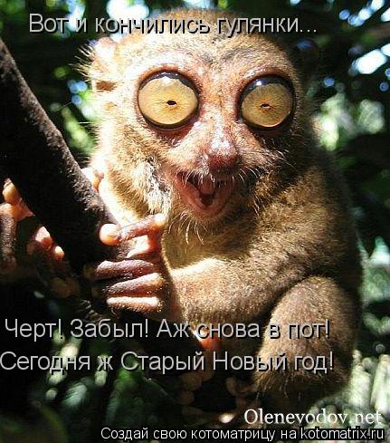 Вот и кончились гулянки... Черт! Забыл! Аж снова в пот! Сегодня ж Старый Новый год!... Котоматрица: Вот и кончились гулянки... Черт! Забыл! Аж снова в пот! Сегодня ж Старый Новый год!