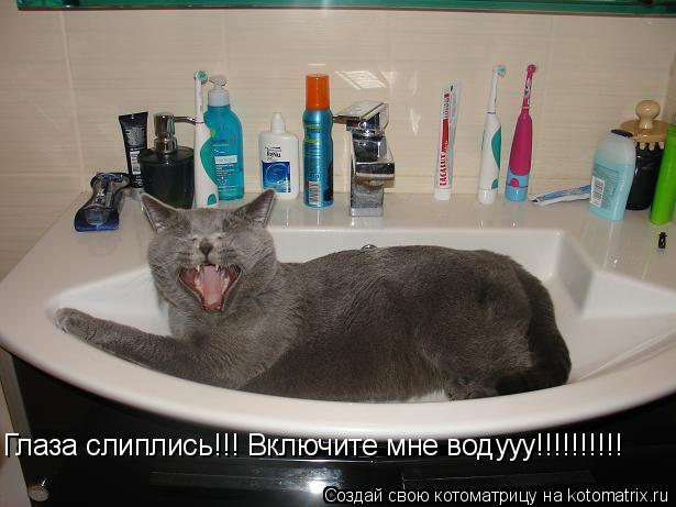 Глаза слиплись!!! Включите мне водууу!!!!!!!!!!... Котоматрица: Глаза слиплись!!! Включите мне водууу!!!!!!!!!!