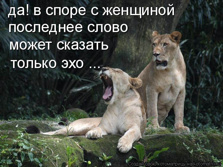 да! в споре с женщиной последнее слово может сказать только эхо ...... Котоматрица: да! в споре с женщиной последнее слово может сказать только эхо ...