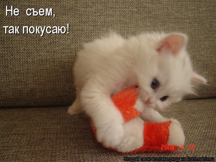 Не съем, так покусаю!... Котоматрица: Не съем, так покусаю!