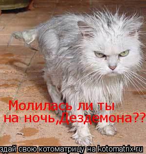Молилась ли ты на ночь,Дездемона??... Котоматрица: Молилась ли ты на ночь,Дездемона??