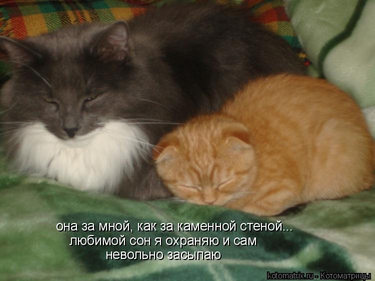 Московский государственный университет имени Короткие Смешные Стишки про Имена Мальчиков и Девочек