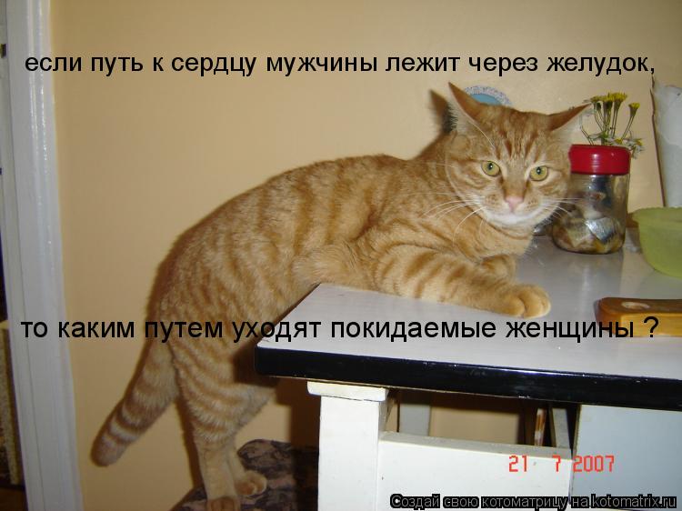 если путь к сердцу мужчины лежит через желудок, то каким путем уходят покидаемые женщины ?... Котоматрица: если путь к сердцу мужчины лежит через желудок, то каким путем уходят покидаемые женщины ?