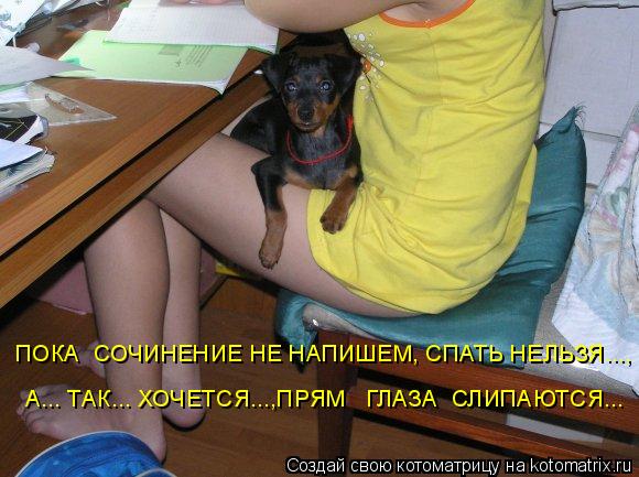 ПОКА СОЧИНЕНИЕ НЕ НАПИШЕМ, СПАТЬ НЕЛЬЗЯ..., А... ТАК... ХОЧЕТСЯ...,ПРЯМ ГЛАЗА СЛИПАЮТСЯ...... Котоматрица: ПОКА СОЧИНЕНИЕ НЕ НАПИШЕМ, СПАТЬ НЕЛЬЗЯ..., А... ТАК... ХОЧЕТСЯ...,ПРЯМ ГЛАЗА СЛИПАЮТСЯ...