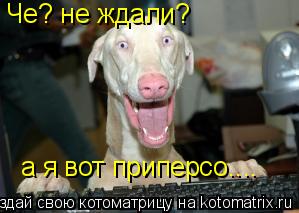 Че? не ждали? а я вот приперсо....... Котоматрица: Че? не ждали? а я вот приперсо....