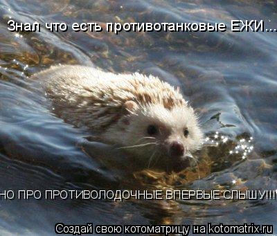 Знал что есть противотанковые ЕЖИ... НО ПРО ПРОТИВОЛОДОЧНЫЕ ВПЕРВЫЕ СЛЫШУ!!!... Котоматрица: Знал что есть противотанковые ЕЖИ... НО ПРО ПРОТИВОЛОДОЧНЫЕ ВПЕРВЫЕ СЛЫШУ!!!