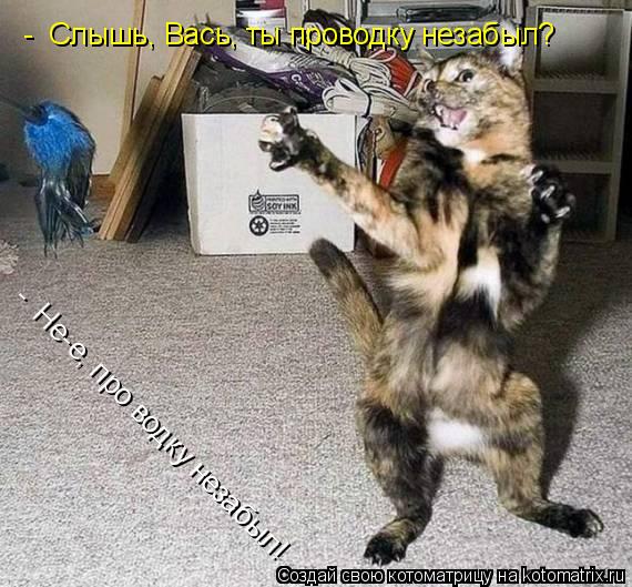 - Слышь, Вась, ты проводку незабыл? - Не-е, про водку незабыл!... Котоматрица: - Слышь, Вась, ты проводку незабыл? - Не-е, про водку незабыл!
