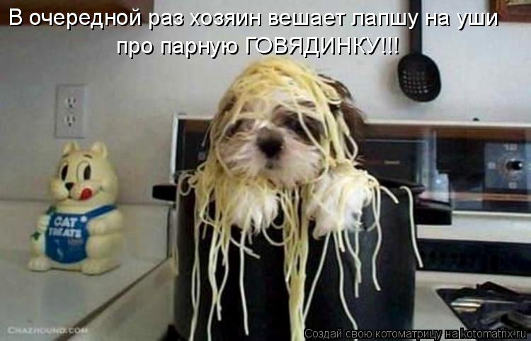 В очередной раз хозяин вешает лапшу на уши про парную ГОВЯДИНКУ!!!... Котоматрица: В очередной раз хозяин вешает лапшу на уши про парную ГОВЯДИНКУ!!!