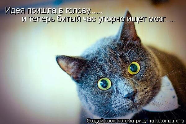 Идея пришла в голову...... и теперь битый час упорно ищет мозг........ Котоматрица: Идея пришла в голову...... и теперь битый час упорно ищет мозг.....