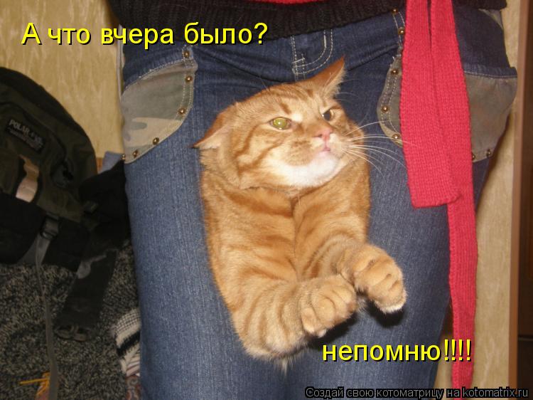 А что вчера было? непомню!!!!... Котоматрица: А что вчера было? непомню!!!!