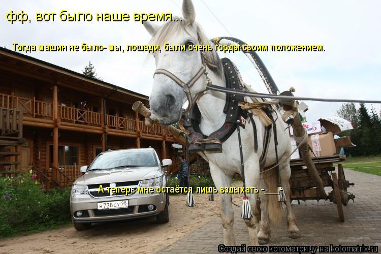 фф, вот было наше время... Тогда машин не было- мы, лошади, были очень горды своим положением. А тепе... Котоматрица: фф, вот было наше время... Тогда машин не было- мы, лошади, были очень горды своим положением. А теперь мне остаётся лишь вздыхать -___-