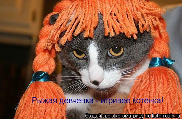 Рыжая девченка - игривее котёнка!... Котоматрица: Рыжая девченка - игривее котёнка!