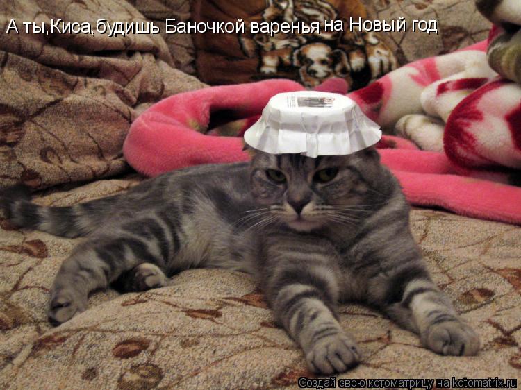 А ты,Киса,будишь Баночкой варенья на Новый год... Котоматрица: А ты,Киса,будишь Баночкой варенья на Новый год