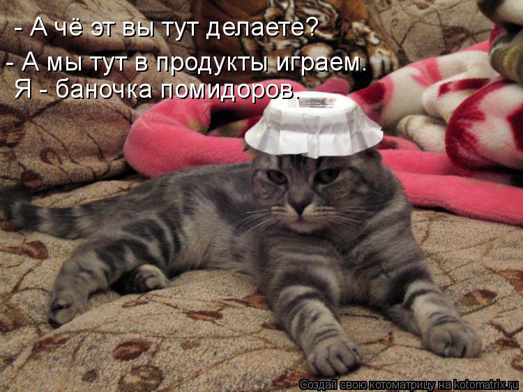- А чё эт вы тут делаете? - А мы тут в продукты играем. Я - баночка помидоров.... Котоматрица: - А чё эт вы тут делаете? - А мы тут в продукты играем. Я - баночка помидоров.
