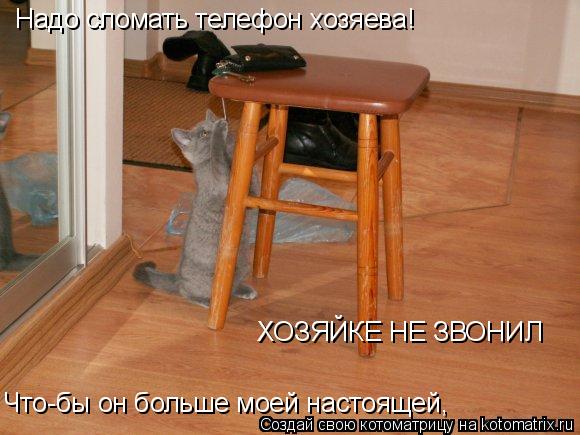 Надо сломать телефон хозяева! Что-бы он больше моей настоящей, ХОЗЯЙКЕ НЕ ЗВОНИЛ... Котоматрица: Надо сломать телефон хозяева! Что-бы он больше моей настоящей, ХОЗЯЙКЕ НЕ ЗВОНИЛ
