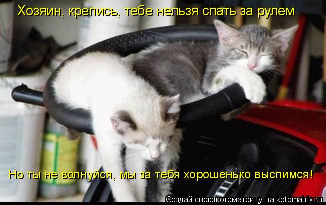 Котоматрица: Хозяин, крепись, тебе нельзя спать за рулем Но ты не волнуйся, мы за тебя хорошенько выспимся!