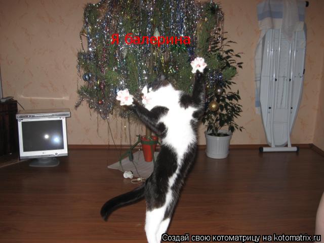 Я балерина... Котоматрица: Я балерина