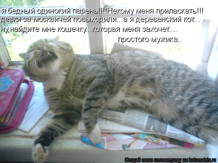 я бедный одинокий парень!!!!Некому меня приласкать!!! девки за москвичей повыходили...а я деревенский... Котоматрица: я бедный одинокий парень!!!!Некому меня приласкать!!! девки за москвичей повыходили...а я деревенский кот... ну,найдите мне кошечку...которая ме