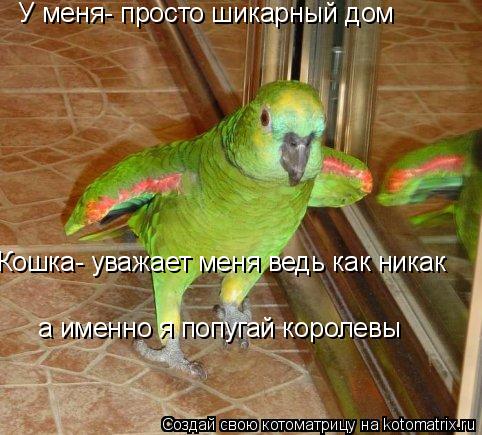 У меня- просто шикарный дом Кошка- уважает меня ведь как никак а именно я попугай королевы... Котоматрица: У меня- просто шикарный дом Кошка- уважает меня ведь как никак а именно я попугай королевы