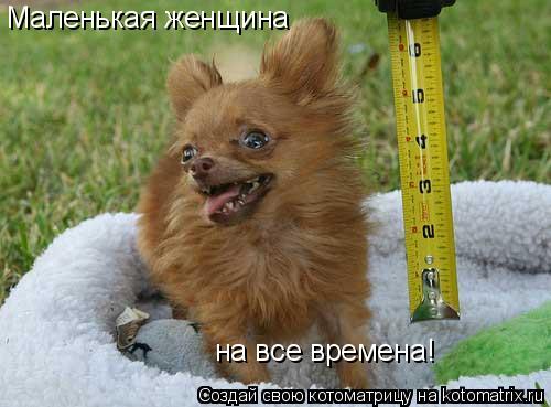 Маленькая женщина на все времена!... Котоматрица: Маленькая женщина на все времена!