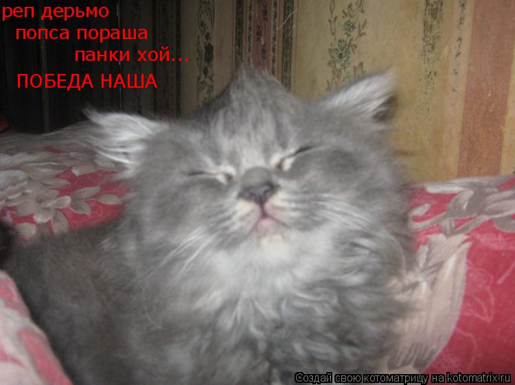 реп дерьмо реп дерьмо попса пораша панки хой... ПОБЕДА НАША... Котоматрица: реп дерьмо реп дерьмо попса пораша панки хой... ПОБЕДА НАША
