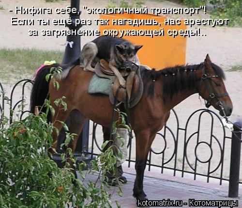 - Нифига себе, "экологичный транспорт"! Если ты ещё раз так нагадишь, нас арестуют за загрязнение окр... Котоматрица: - Нифига себе, "экологичный транспорт"! Если ты ещё раз так нагадишь, нас арестуют за загрязнение окружающей среды!..