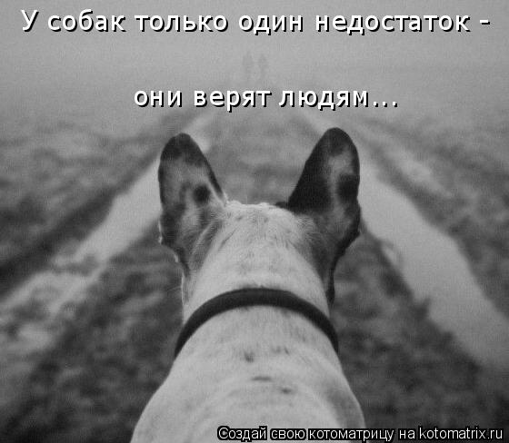 У собак только один недостаток - они верят людям...... Котоматрица: У собак только один недостаток - они верят людям...