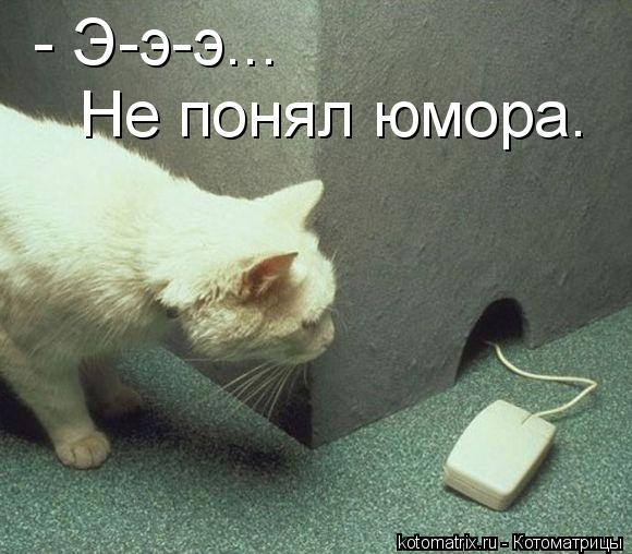 - Э-э-э... Не понял юмора.... Котоматрица: - Э-э-э... Не понял юмора.