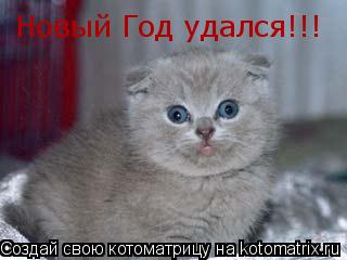 Новый Год удался!!!... Котоматрица: Новый Год удался!!!