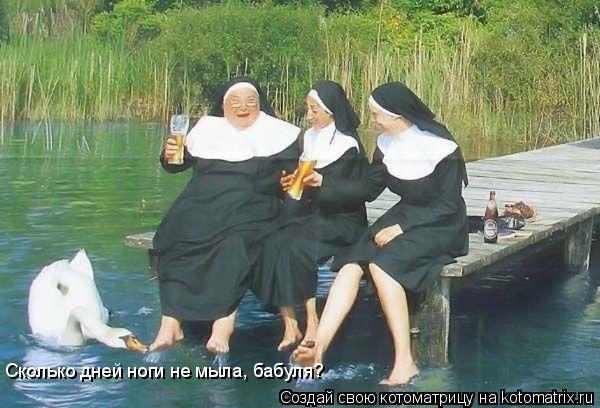 Сколько дней ноги не мыла, бабуля?... Котоматрица: Сколько дней ноги не мыла, бабуля?