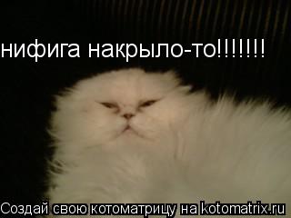 нифига накрыло-то!!!!!!!... Котоматрица: нифига накрыло-то!!!!!!!