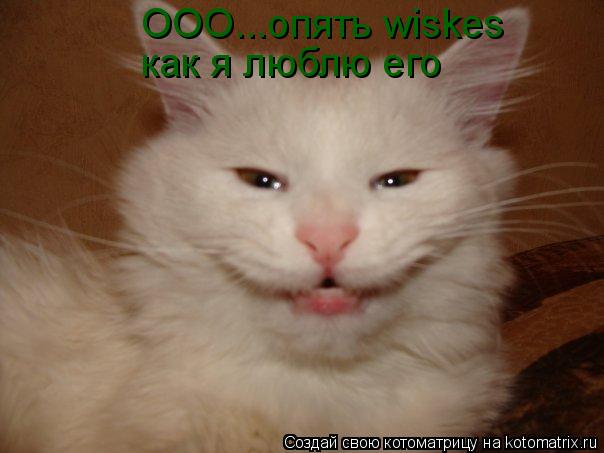 ООО...опять wiskes как я люблю его... Котоматрица: ООО...опять wiskes как я люблю его