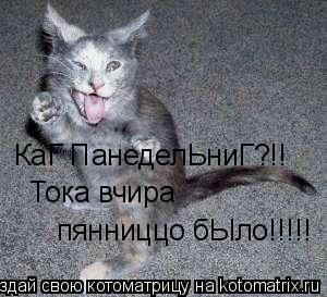 КаГ ПанеделЬниГ?!! Тока вчира пянниццо бЫло!!!!!... Котоматрица: КаГ ПанеделЬниГ?!! Тока вчира пянниццо бЫло!!!!!