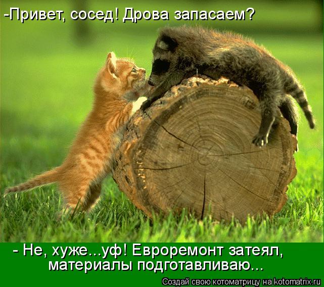 -Привет, сосед! Дрова запасаем? - Не, хуже...уф! Евроремонт затеял, материалы подготавливаю...... Котоматрица: -Привет, сосед! Дрова запасаем? - Не, хуже...уф! Евроремонт затеял, материалы подготавливаю...