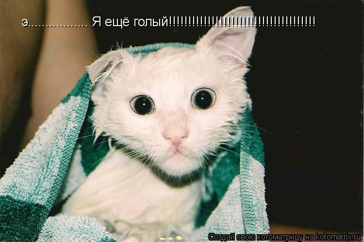 э................. Я ещё голый!!!!!!!!!!!!!!!!!!!!!!!!!!!!!!!!!!!!!!... Котоматрица: э................. Я ещё голый!!!!!!!!!!!!!!!!!!!!!!!!!!!!!!!!!!!!!!