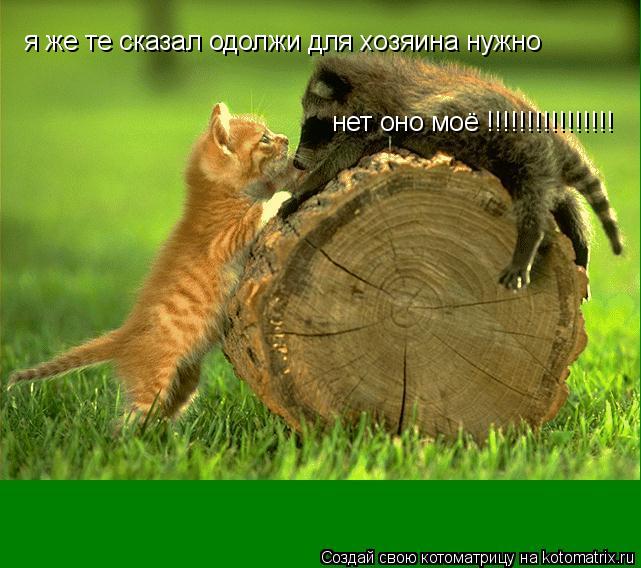 я же те сказал одолжи для хозяина нужно нет оно моё !!!!!!!!!!!!!!!!... Котоматрица: я же те сказал одолжи для хозяина нужно нет оно моё !!!!!!!!!!!!!!!!