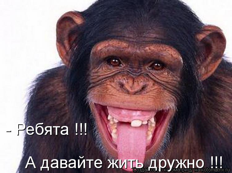 - Ребята !!! А давайте жить дружно !!!... Котоматрица: - Ребята !!! А давайте жить дружно !!!