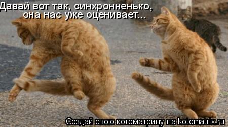 Давай вот так, синхронненько, она нас уже оценивает...... Котоматрица: Давай вот так, синхронненько, она нас уже оценивает...