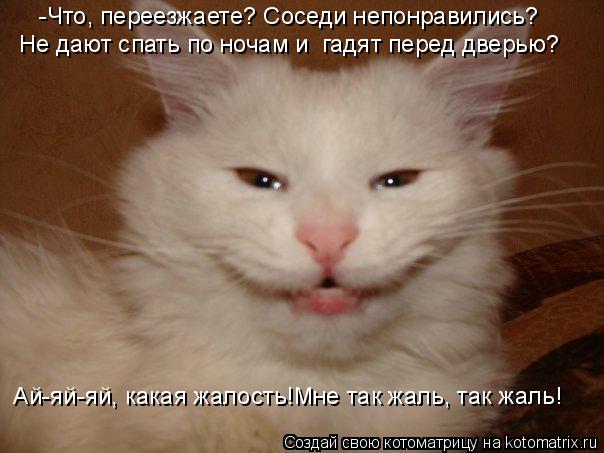 -Что, переезжаете? Соседи непонравились? Ай-яй-яй, какая жалость!Мне так жаль, так жаль! Не дают спат... Котоматрица: -Что, переезжаете? Соседи непонравились? Ай-яй-яй, какая жалость!Мне так жаль, так жаль! Не дают спать по ночам и гадят перед дверью?