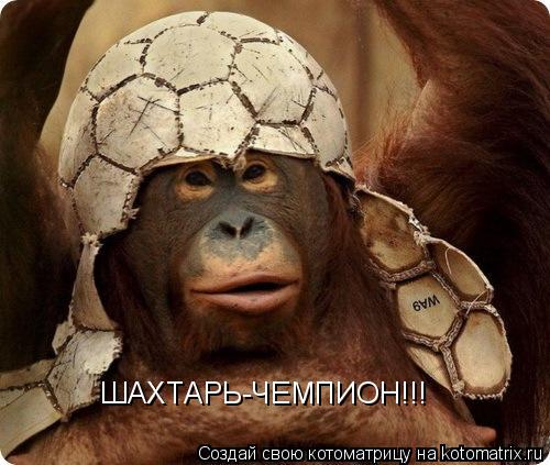ШАХТАРЬ-ЧЕМПИОН!!!... Котоматрица: ШАХТАРЬ-ЧЕМПИОН!!!