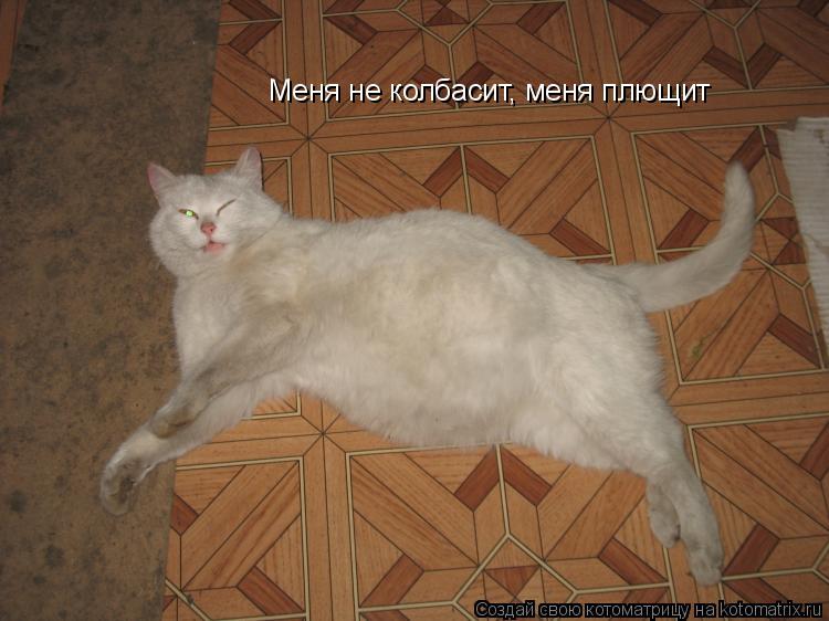 Меня не колбасит, меня плющит... Котоматрица: Меня не колбасит, меня плющит