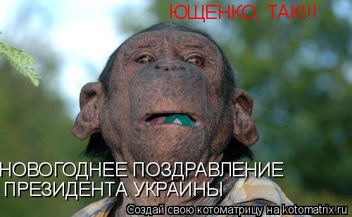 ЮЩЕНКО, ТАК!!! НОВОГОДНЕЕ ПОЗДРАВЛЕНИЕ ПРЕЗИДЕНТА УКРАИНЫ... Котоматрица: ЮЩЕНКО, ТАК!!! НОВОГОДНЕЕ ПОЗДРАВЛЕНИЕ ПРЕЗИДЕНТА УКРАИНЫ