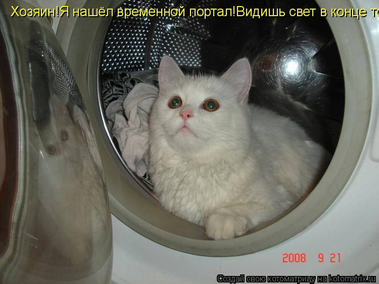 Хозяин!Я нашёл временной портал!Видишь свет в конце тоннеля?? Хозяин!Я нашёл временной портал! ... Котоматрица: Хозяин!Я нашёл временной портал!Видишь свет в конце тоннеля?? Хозяин!Я нашёл временной портал! Видишь свет в