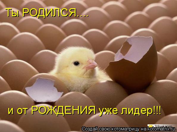 Ты РОДИЛСЯ.... и от РОЖДЕНИЯ уже лидер!!!... Котоматрица: Ты РОДИЛСЯ.... и от РОЖДЕНИЯ уже лидер!!!