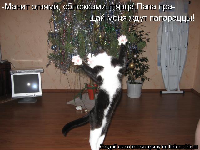 -Манит огнями, обложками глянца.Папа пра- щай меня ждут папараццы!... Котоматрица: -Манит огнями, обложками глянца.Папа пра- щай меня ждут папараццы!