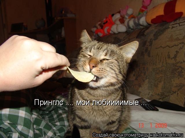 Принглс .... мои любиииимые ...... Котоматрица: Принглс .... мои любиииимые ...