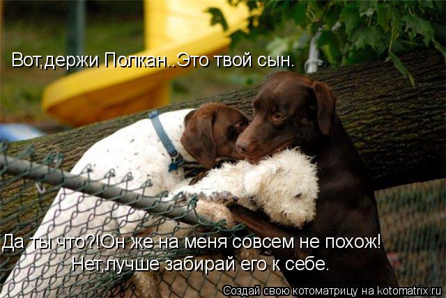 Вот,держи Полкан..Это твой сын. Да ты что?!Он же на меня совсем не похож! Нет,лучше забирай его к себ... Котоматрица: Вот,держи Полкан..Это твой сын. Да ты что?!Он же на меня совсем не похож! Нет,лучше забирай его к себе.